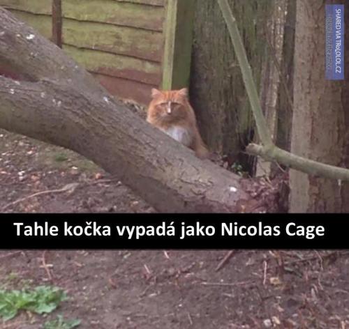  Nicolas Cage 