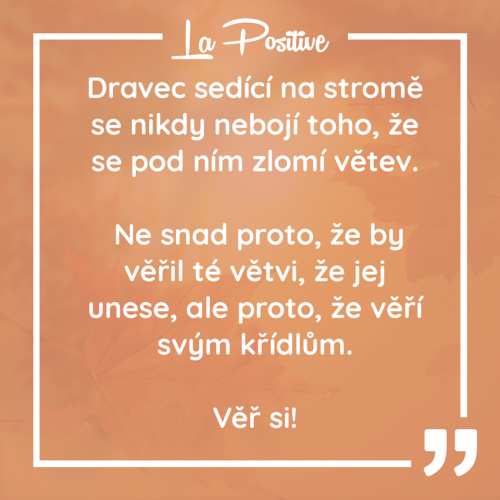  Dravec 