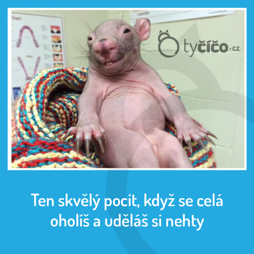 Nehtíky