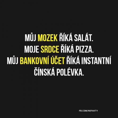  Můj mozek 