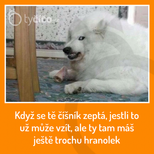 Čínšík