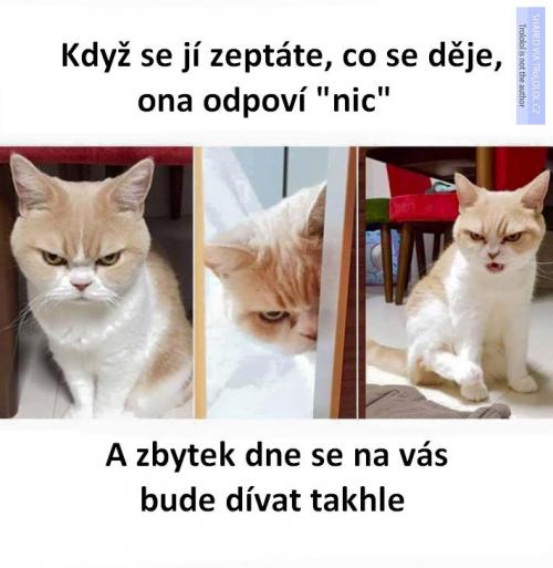  Otázka 