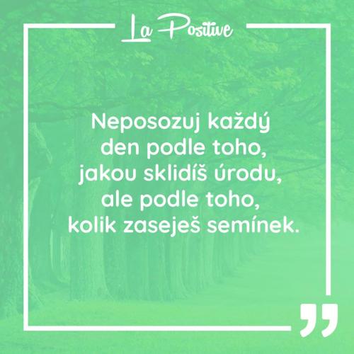 Neposuzuj