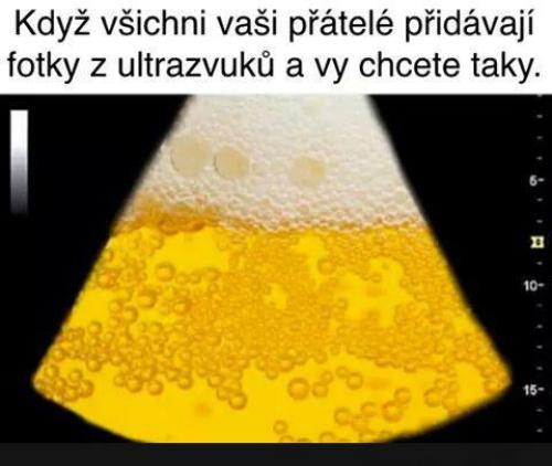  Fotky od kamarádů 