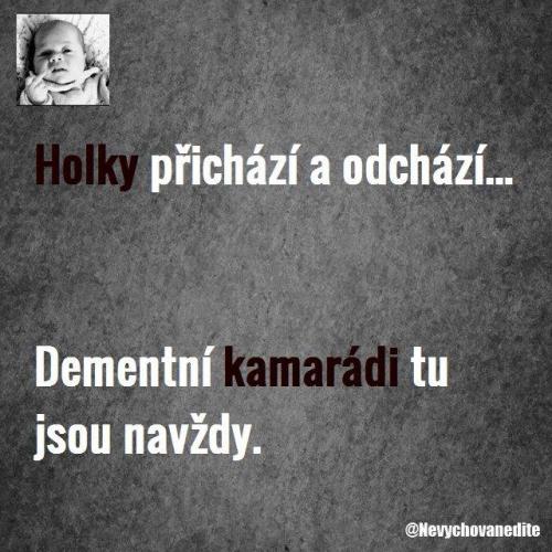  Holky 