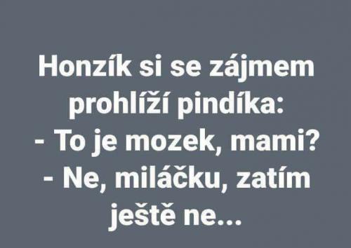  Mozek 