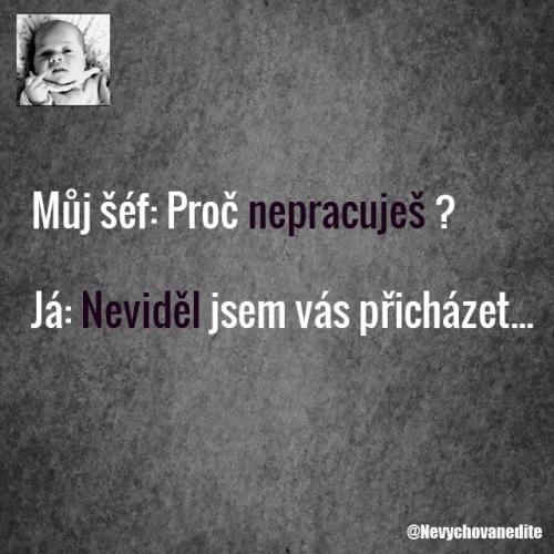  Proč nepracuješ 