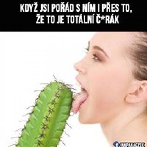  Když je tvuj kluk idiot 