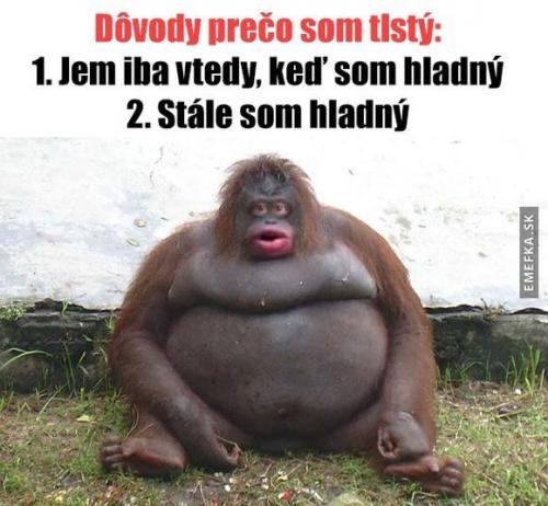  Důvod 