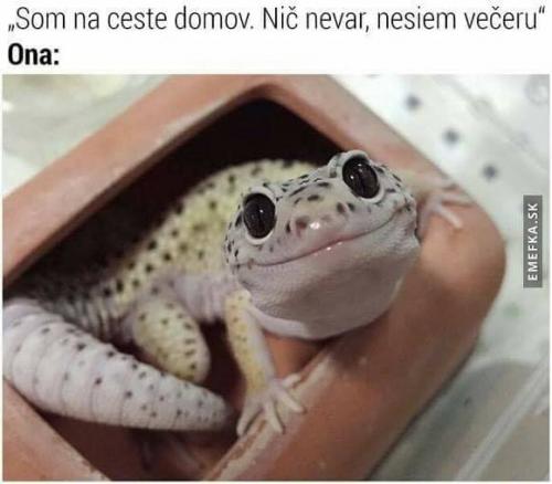  Nesu večeři 