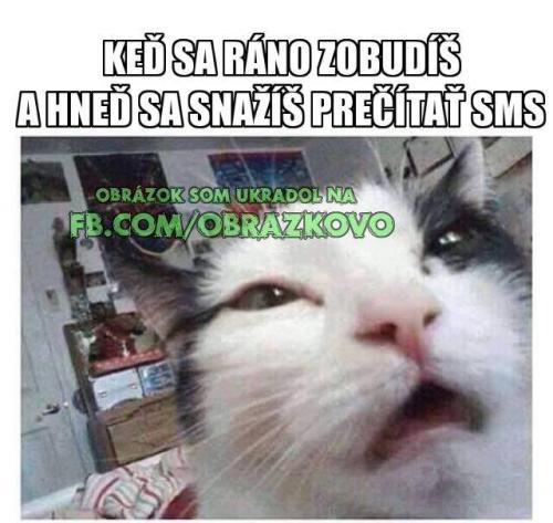 Pokaždý :D