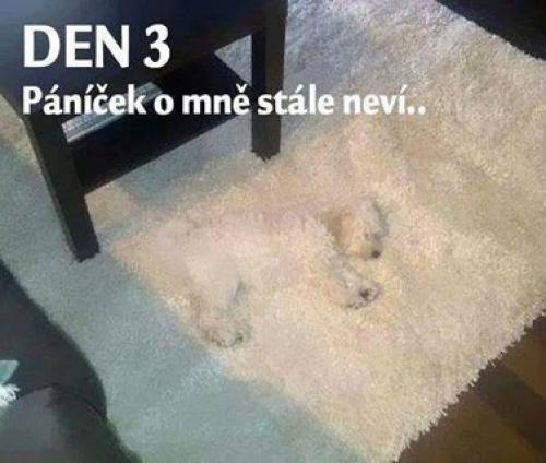  Den 3 