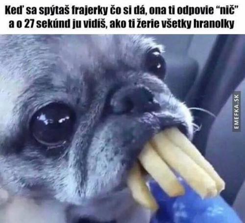Co si dáš