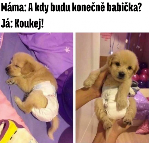  Konečně babička 