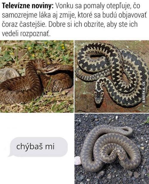 Chybíš mi