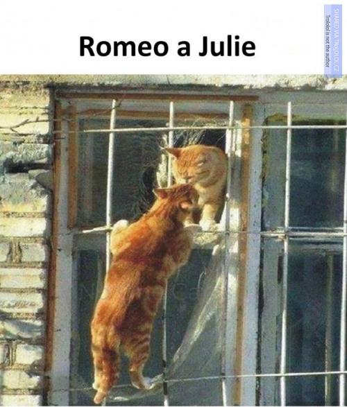  Romeo 