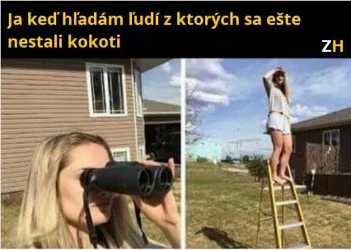 Hledám