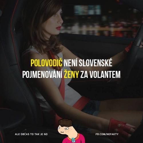 To bych se hádal