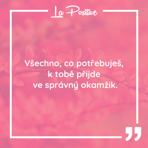  Vše, co potřebuješ 