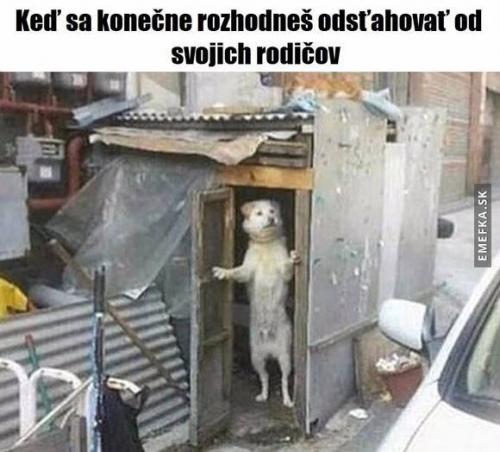 Když se odstěhuješ