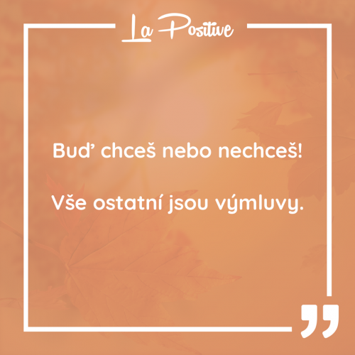  Buď chceš nebo nechceš! 