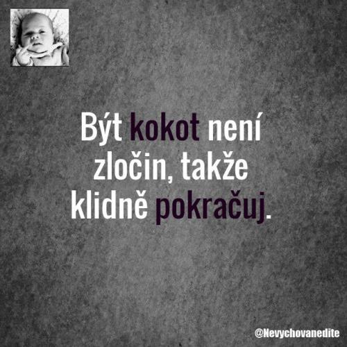 K#k#ot