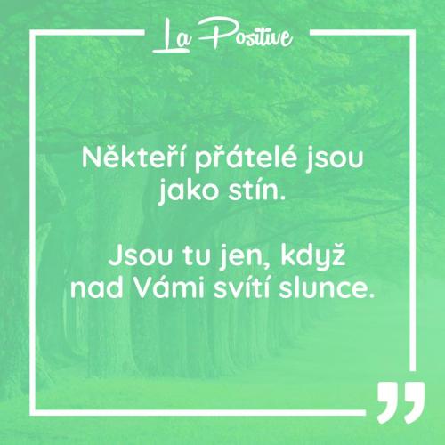  Někteří přátelé 