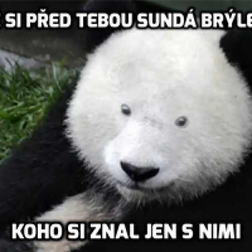  Lidé s brýlemi 