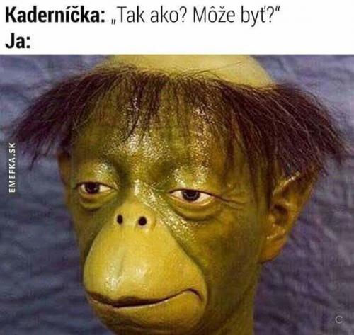 U kadeřníka