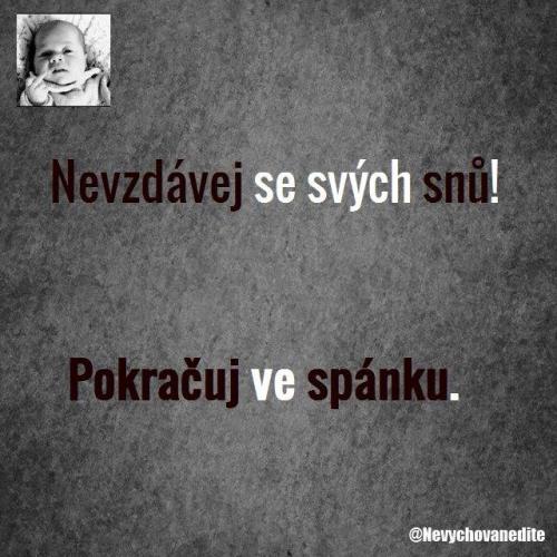  Spánek 