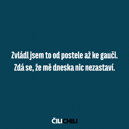  Zvládl jsem to 