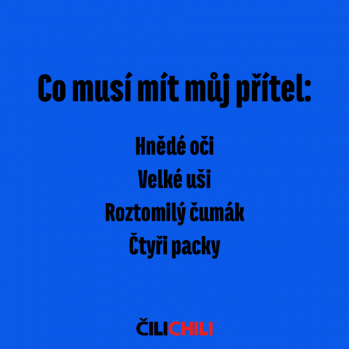  Co musí mít můj přítel 