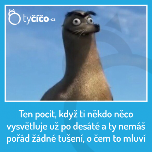 Když nechápeš