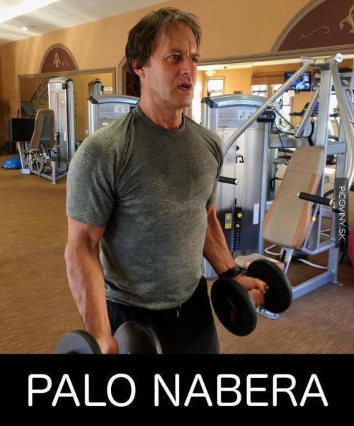  Palo Nabera 
