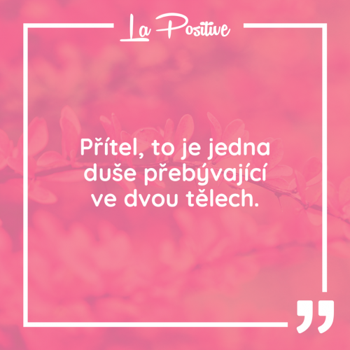  Přítel 