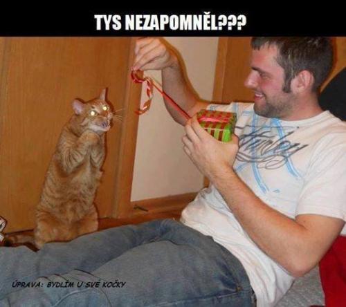 Nezapomněl