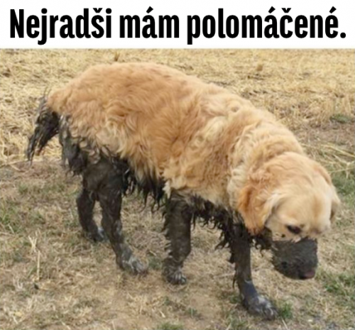Polomáčené