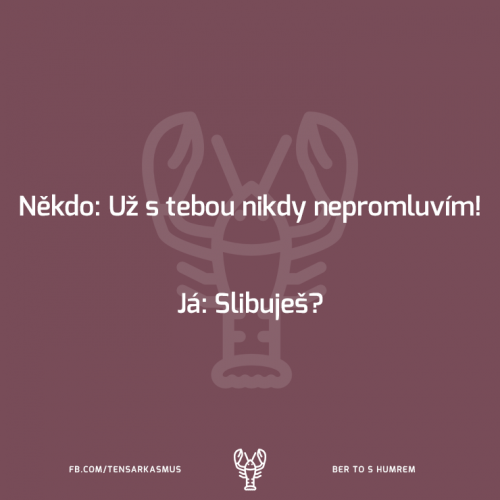 Nepromluvím