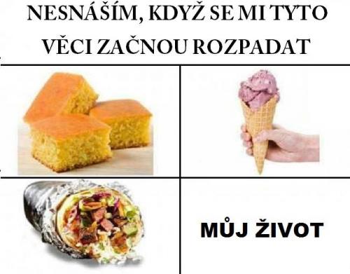 Nesnáším