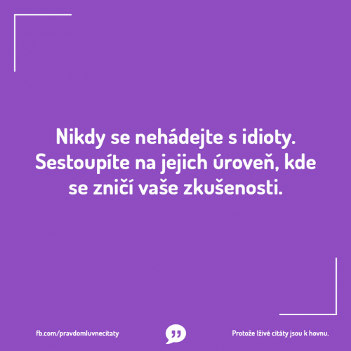 Nehádej se s idiotem