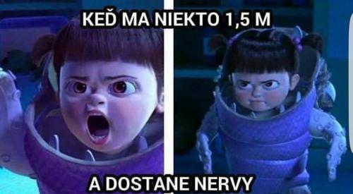 Nervíky