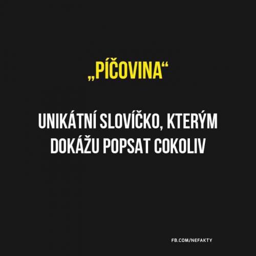 P#čovna