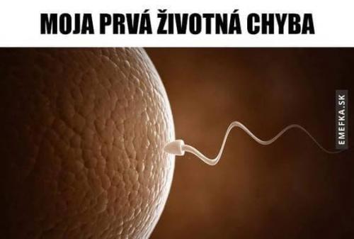  Životní chyba 