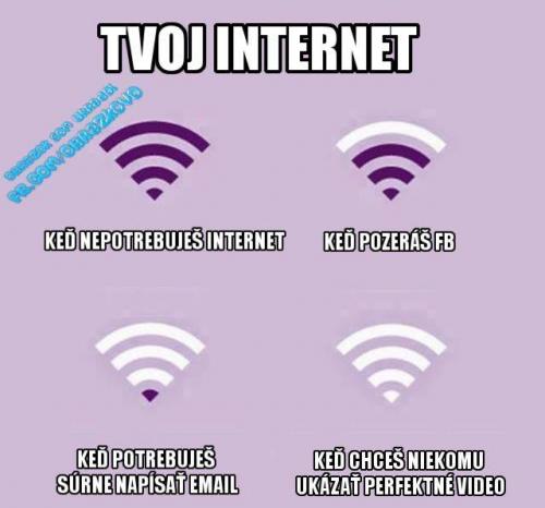  Internet 