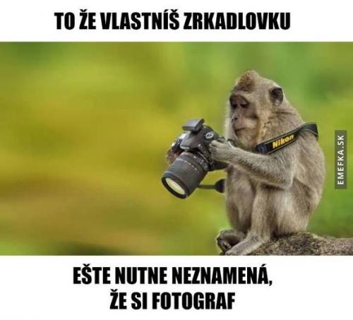  Fotograf 