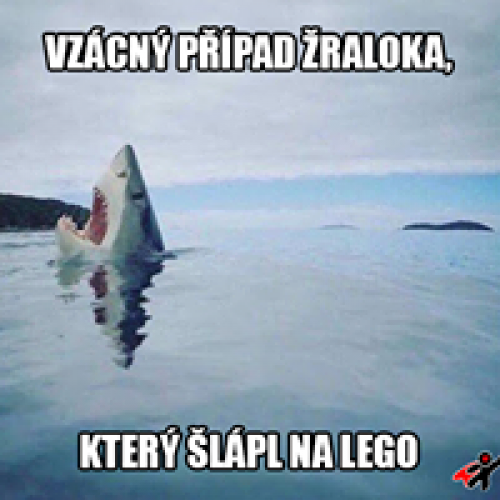  Žralok a lego 