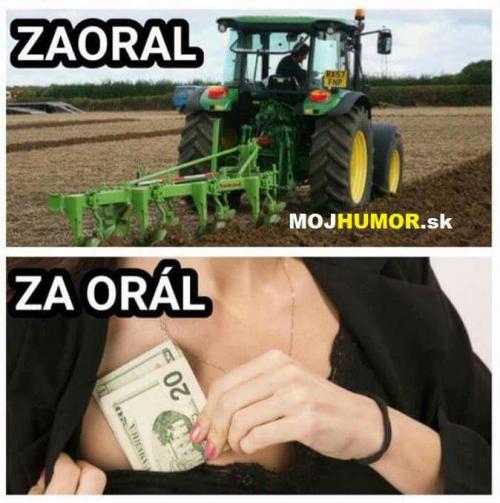 Zaoral