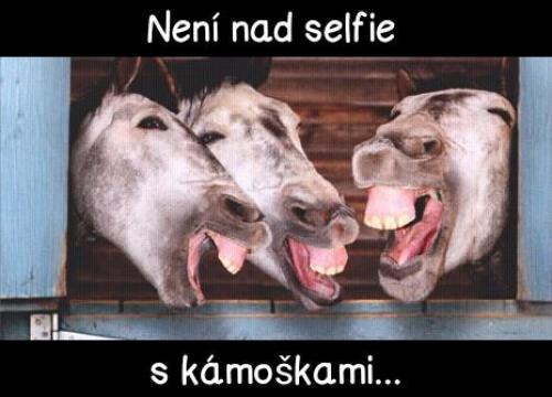  Selfie s kámoškami 