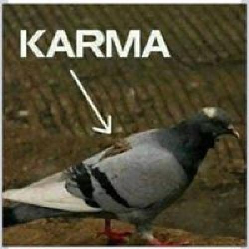  Karma 