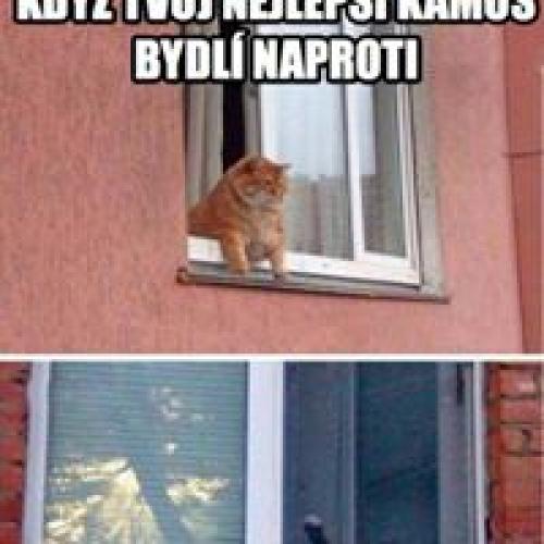  Ty a kamarád 